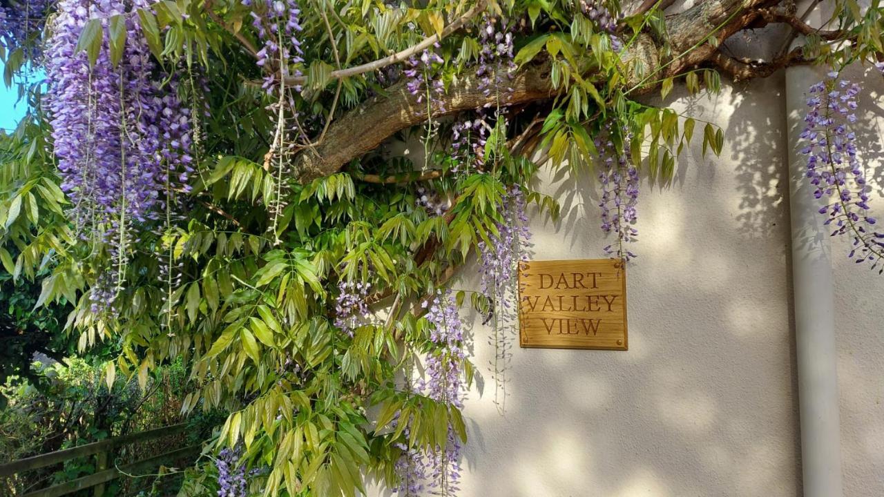 Dart Valley View Staverton  Exterior foto